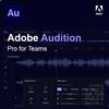 Adobe Audition - Pro for Teams