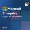 Microsoft Enterprise Core CAL Suite User 2019