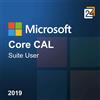 Microsoft Core CAL Suite User 2019