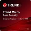 Trend Micro Deep Security - Enterprise Perpetual - per Server (VM)