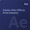 Adobe After Effects - Pro for Enterprise