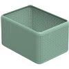 Rotho Madei Scatola di Stoccaggio, Plastica (PP Riciclato) senza BPA, Verde, 13 L, 32.6 x 23.8 x 18.8 cm