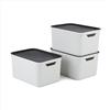 jive be organized Rotho Jive Dekobox, Contenitori con coperchio, bianco/antracite, 16 L, 36.5 x 27 x 27 cm, Set di 3