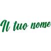 VENEZIANO Gruppo Veneziano - Scritta in plexiglass personalizzata 30-40-50-75 cm - nome in plexiglass specchiato personalizzato - Altezza massima 15cm spessore 3 mm - 100% made in Italy