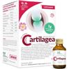 Salugea Cartilagea Integratore per Cartilagini, 18 Flaconcini