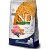 Farmina N&D Ancestral Grain N&D Ancestral Puppy Medium Maxi Agnello, Farro, Avena e Mirtillo 12 Kg