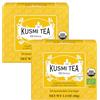 Kusmi Tea - BB Détox Bio - 100% Biologico - Miscela di Tè Verde, Matè e Pompelmo - Da Gustare Caldo o come Tè Freddo - Confezione da 2-2x20 Bustine