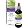 Naturalma Equiseto o Coda cavallina (Equisetum arvense) erba Tintura Madre analcoolica Naturalma - Estratto liquido gocce 200 ml - Integratore alimentare - Vegano