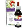 Naturalma Rosa canina (Rosa canina) frutti Tintura Madre analcoolica Naturalma - Ricca di Vitamina C- Estratto liquido gocce 120 ml - Integratore alimentare - Vegano