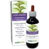 Naturalma Licopo europeo o Piede di lupo (Lycopus europaeus) erba Tintura Madre analcoolica Naturalma - Estratto liquido gocce 200 ml - Integratore alimentare - Vegano