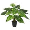 Flair Flower Pianta artificiale a foglia in vaso Pothos, pianta artificiale di seta, fiori artificiali, pianta decorativa in seta, pianta verde, pianta da interno, pianta artificiale, pianta da ufficio, 40 x 25 x