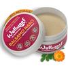 Wellwoof Crema Naso Cane 100% Naturale Senza Profumo | Oli di Moringa, Burro Karitè | Ripara e Protegge Il Naso Screpolato del Cane | Balsamo Naso Cane Vegano Non Tossico per ingestione 70ml
