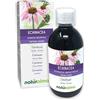 Naturalma Echinacea (Echinacea angustifolia) radici Tintura Madre analcoolica Naturalma - Estratto liquido gocce 500 ml - Integratore alimentare - Vegano