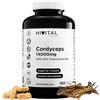 HIVITAL foods Cordyceps 14000 mg. 180 capsule vegane per 3 mesi di trattamento. | Cordyceps Sinensis CS-4 con 40% di Polisaccaridi. Estratto Naturale di fungo. Prodotto in Europa da HIVITAL