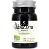 PLANTAE Gattilier Bio (Vitex agnus-castus) * Plantae * 120 capsule vegetali * Concentrato di frutta di gattilier * Partecipa alla regolazione ormonale
