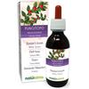 Naturalma Pungitopo o Rusco (Ruscus aculeatus) radici Tintura Madre analcoolica Naturalma - Estratto liquido gocce 120 ml - Integratore alimentare - Vegano