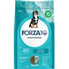 Forza10 Maintenance Maxi Adult al Pesce - 12 Kg Croccantini per cani