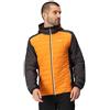 Regatta Trutton II - Giacca imbottita leggera da uomo con zip intera, OrangPep/Frassino, L