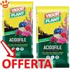 Vigorplant Ornamentali Terriccio per Acidofile - Offerta [PREZZO A CONFEZIONE] Quantità Minima 2, Sacco Da 70 Lt