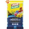 Vigorplant Universali Terriccio Cinquestelle - Sacco Da 20 Lt