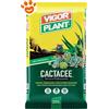 Vigorplant Ornamentali Terriccio per Cactacee - Sacco Da 20 Lt