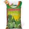 AL.FE Solevivo Terriccio per Cactacee - Confezione Da 5 Lt