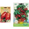 Germisem Biologico San Marzano Semi di Pomodoro 0.5 g & Minibel Semi di Pomodoro 0.5 g