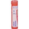 Boiron Ledum Palustre 7CH Granuli Contenitore Multidose