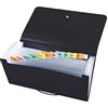 Alevar Portadocumenti a soffietto, classificatore a fisarmonica espandibile da 13 Tasche - formato Portacambiali cm 26x13,5x2,3 Nero