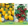 Germisem Yellow Pearshaped Semi di Pomodoro 0.5 g & Minibel Semi di Pomodoro 0.5 g