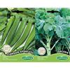 Germisem Clemson Spineless Semi di Okra 6 g & EC3025 Semi