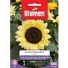 Blumen girasole moonshine