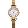 Alviero Martini Orologio Alviero Martini Donna Madagascar