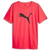 PUMA Individualrise Logo Tee, Maglietta da Calcio Uomo, Orchidea del Fuoco, S