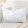 Artscope Federe Cuscini in Velluto Minimalista Copricuscino Colorato per la Decorazione Domestica Soggiorno Camera da Letto Divano 40x60cm, Bianco
