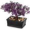 Hollyone Albero Bonsai Artificiale Viola da 16,5 cm - Pianta Giapponese da Interno, Falso Podocarpus per Decorazione della Casa, Scrivania, Tavolo, Ufficio
