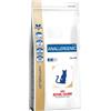 Royal Canin Anallergenic Cat - Royal Canin - Anallergenic Cat - 2KG