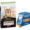 Pro Plan 10 kg PURINA PRO PLAN + 8 x 40 g Purina Dentalife Cat Pollo gratis! - Sterilised Adult 1+ Ricco in Pollo