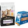 Pro Plan 10 kg PURINA PRO PLAN + 8 x 40 g Purina Dentalife Cat Pollo gratis! - Kitten Ricco in Pollo