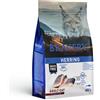 Bravery Sterilized Cat Aringa crocchette gatto grain free 7 Kg