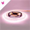 Striscia LED Professional per Banco Carni