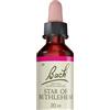 Star Of Bethlem Original Fiori di Bach 20 ml