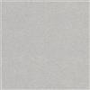 Cartoncino Dust Argento metallizzato