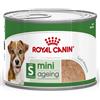 Royal Canin Size Royal Canin Mini Ageing Paté umido per cane - 12 x 195 g