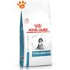 Royal Canin Dog Veterinary Diets Hypoallergenic Puppy - Sacco Da 3,5 Kg, Any