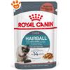 Royal Canin Cat Hairball Care in Salsa Gravy - Confezione Da 12×85 Gr