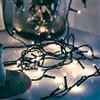 Hellum LED catena di luci per esterni o interni, catena di luci bianco freddo, alimentato con 40 LED, illuminazione albero Natale con cavo in verde <59 lm 560411