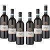 ARIONE | Vino Rosso Nebbiolo d'Alba DOC, Annata 2023, Confezione da 6 Bottiglie da 750 ml