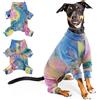 PUMYPOREITY Body Post Operatorio per Cani, Tutina a Quattro Zampe Protezione Corpo Intero Cuccioli Vestito da Recupero Post-Intervento a Copertura Completa per Cani Femminili Maschi(Arcobaleno, L)