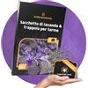 Panteer® Sacchetti di Lavanda - Confezione da 25 - Fragranza alla Lavanda per Guardaroba - 1 Trappola per Tarme GRATIS - Protezione Antitarme Naturale e Piacevole - Ideale per Armadi e Camere da Letto